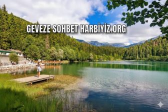 Geveze Sohbet Hattı